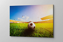 Obraz Futbal to je hra zs1085